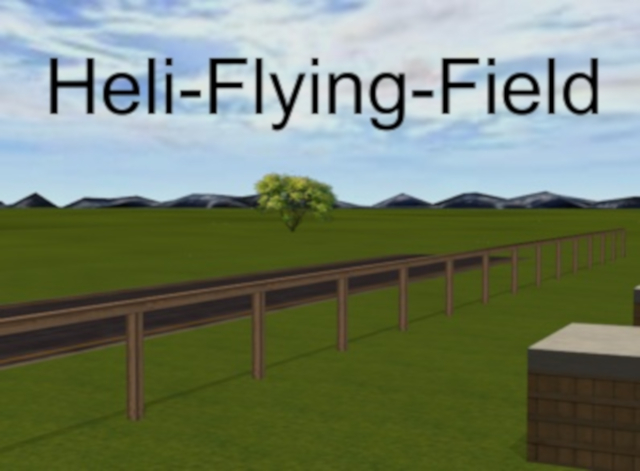 Heli-Flying-Field