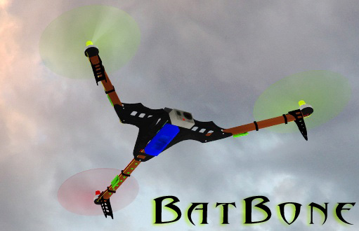 BatBone