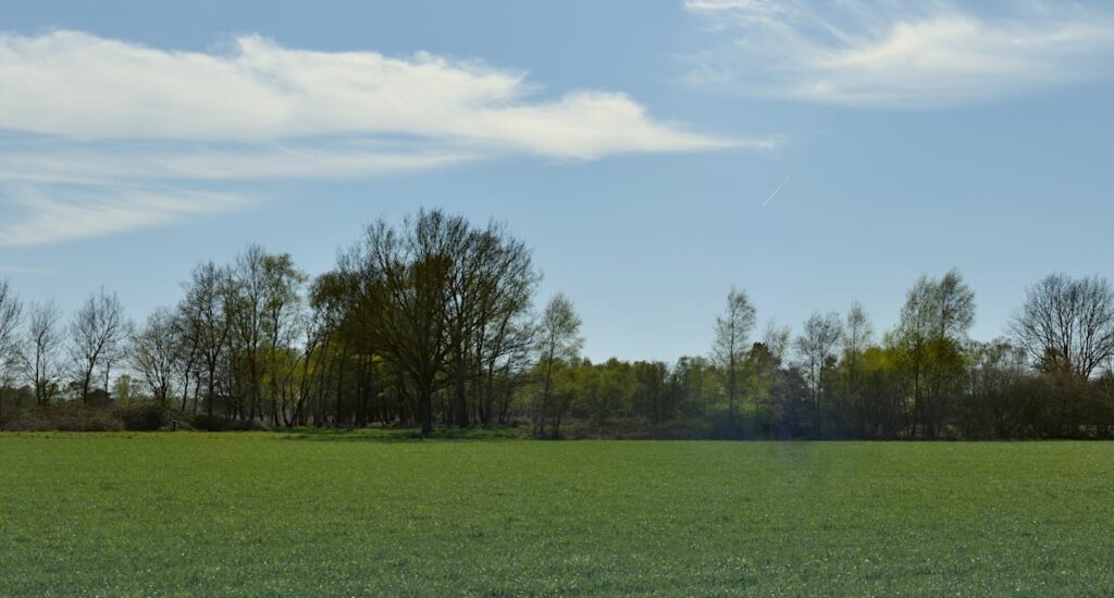 Pieter0s field