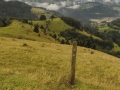Bauernwaldweg.jpg